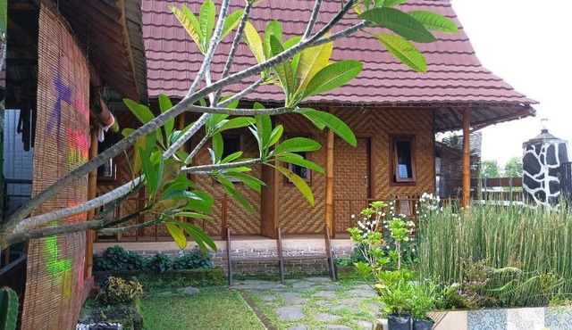 Mysha Guest House-Lombok