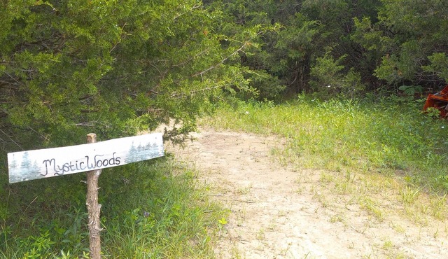 Mystic Woods @B Berry Farms