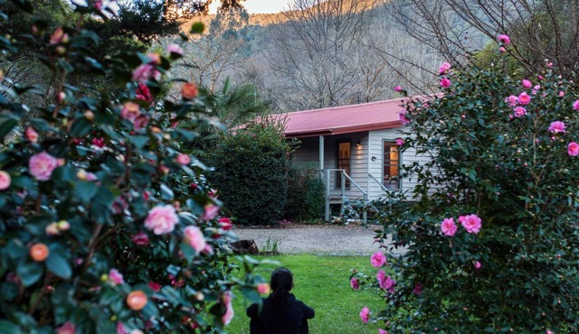 Mystical View Cottage