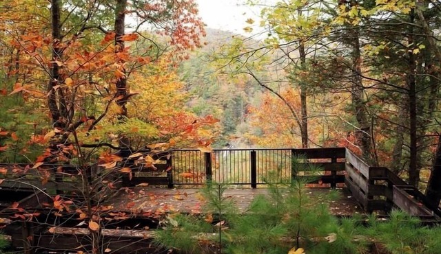 Nacoochee Valley Lodge