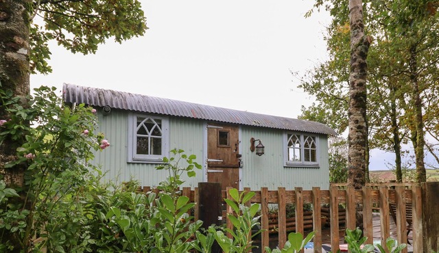 NADINE, pet friendly, with open fire in Beguildy