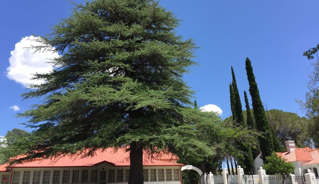 NAN Ranch - On the Magical Mimbres River of New Mexico, a Historic Retreat