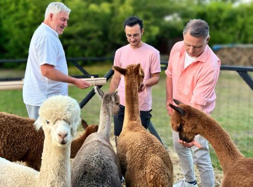 Nana Mac Chambre D'hôtes