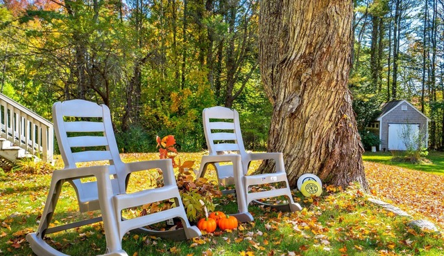 Nana’s Hideaway – 2 BDR Charmer!