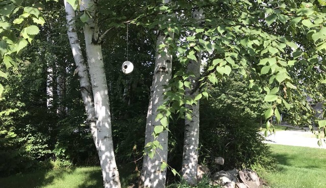 Nanny's Place - Summer Home In The Heart Of The Historic Village Of Bayfield