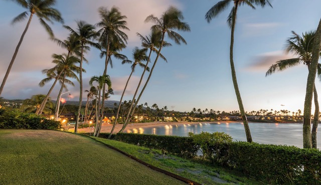 Napili Lani 320 2BD Luxury with Beach Access