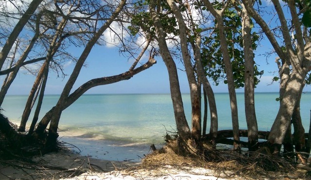 Naples 2/2 Condo, west of 41, bike to beach, golfing, 5 th Ave