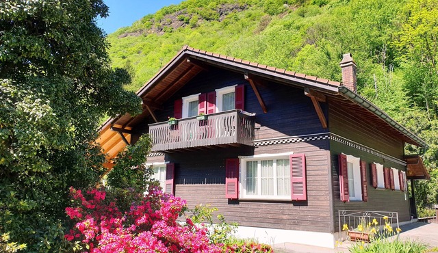 Natalya's attic - comfortable and cozy attic apartment
