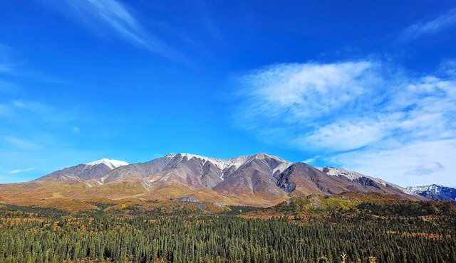 National Park Stay: Premium comfort in Alaska's wilds. Hiking, lakes, tranquility. Pets OK!