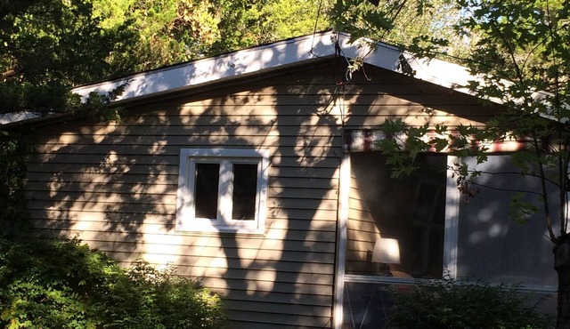 Natural Beach Beauty! Mid century modern,dog-friendly.