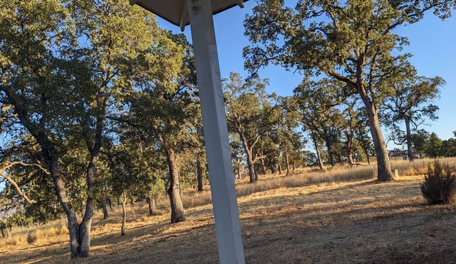 Natural clay tennis court 80 acres near Hogan lake.