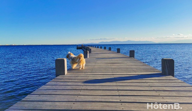 Natural Escape: Air-Conditioned T2 BIS, Pools, and Private Estate in Fitou!