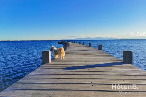 Natural Escape Air-Conditioned T2 BIS Pools and Private Estate in Fitou!