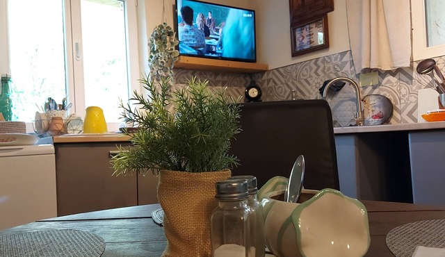 Natural setting and source of art, river, animals welcome, magical calm!