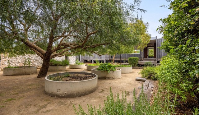 Natural theatre Amongst Dunes