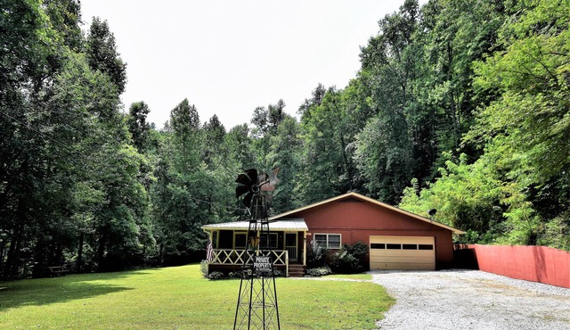 Natural Waterfall, Pond, and 2 1/2 acres of dog paradise!