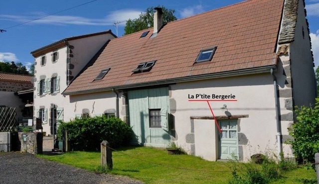 Nature and Mountain holidays in Auvergne - Dogs welcome!