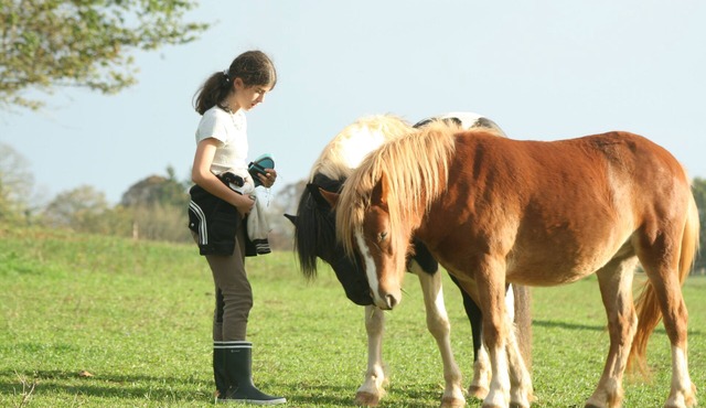 Nature and peace, in the heart of the Périgord.