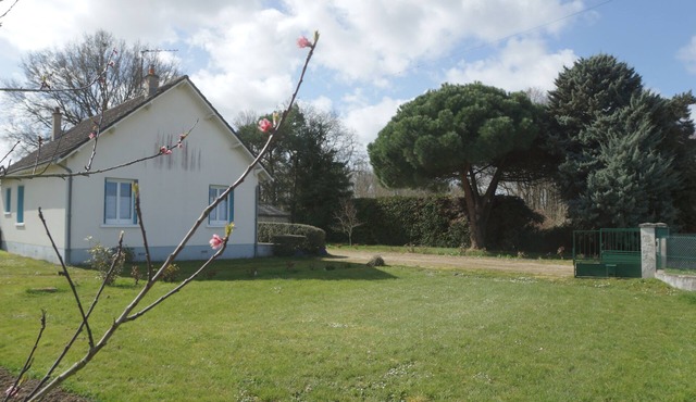 Nature and Quiet 20min Beauval ZooPark, Châteaux de la Loire ALL INCLUSIVE