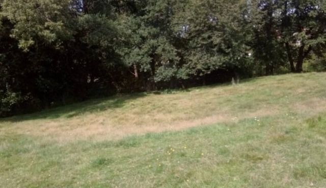 Nature and tranquility pods.