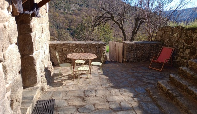 Nature apartment with terrace