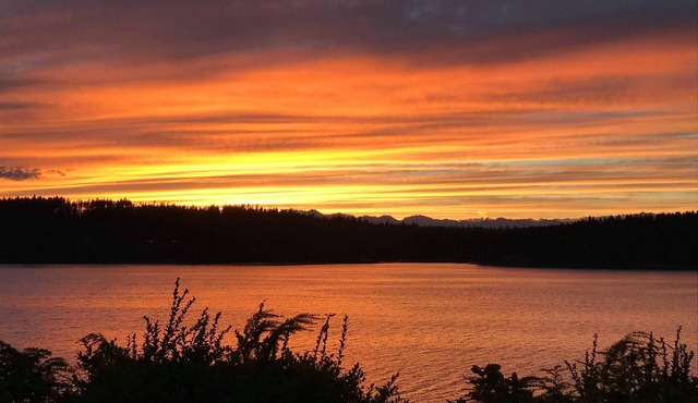 Nature Awaits on Harstine Island!