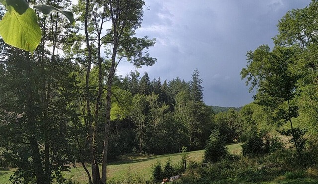 Nature but not only.