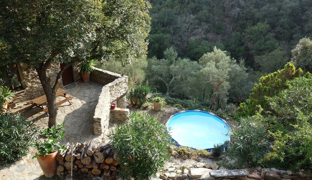 nature, calm and relaxation