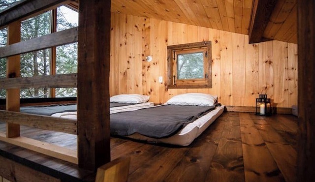 Nature eco-lodge with water view: La Mésange