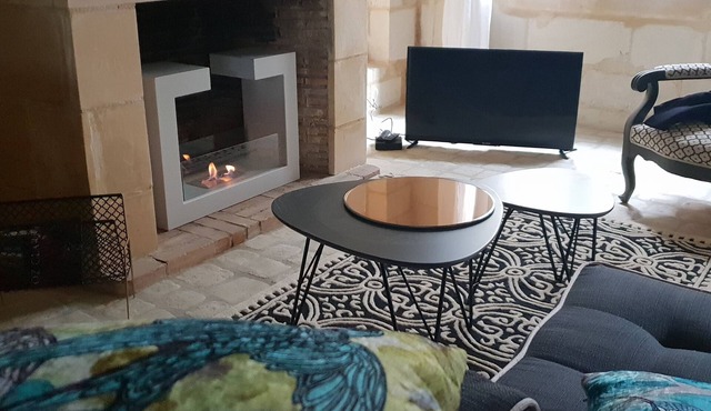 Nature & Chateaux à Azay le Rideau