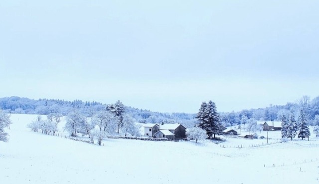 Nature Escape- Swimming pool, Quiet, Green countryside (pets welcome)