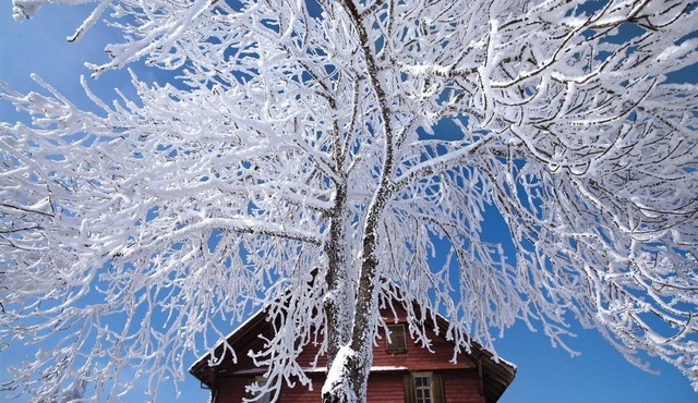 Nature Escape in Kander Valley