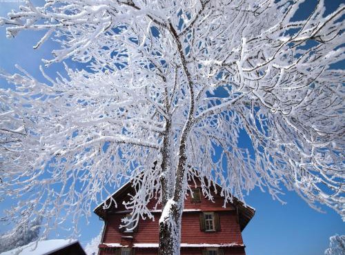 Nature Escape in Kander Valley