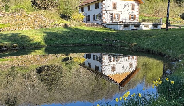 Nature estate with private pond and sauna - sleeps 10 - absolute calm 🌲