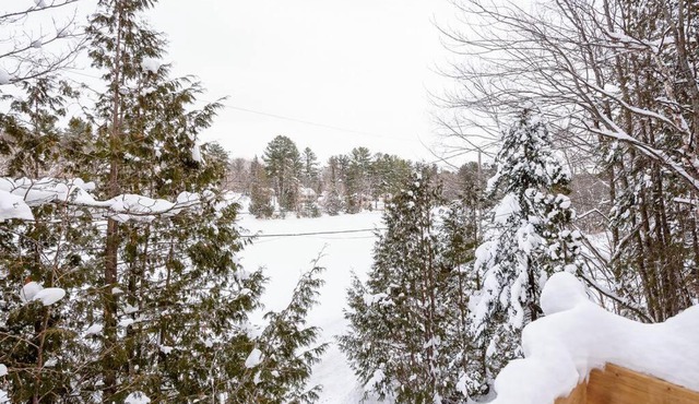Nature et tranquilité à une heure de Montréal, vue sur le lac