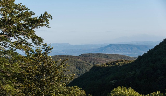 Nature, freshness, silence and starry skies