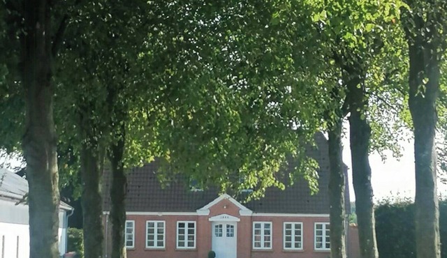 Nature gem near Haderslev with 160-year-old beech