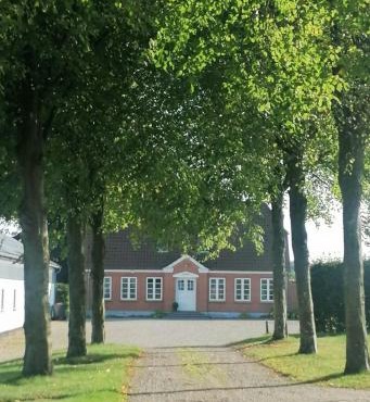 Nature Gem Near Haderslev With 160-Year-Old Beech