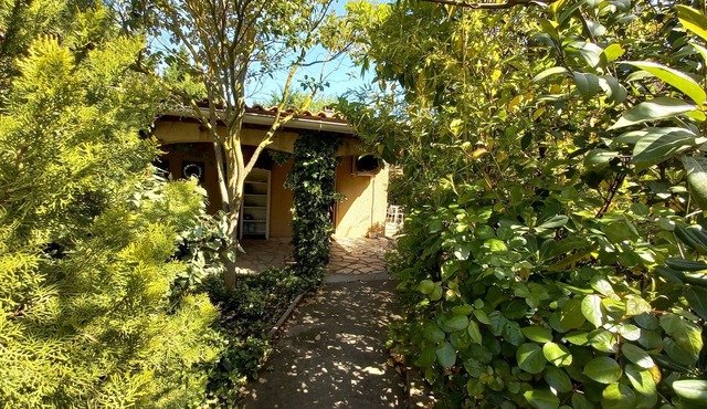 Nature gîte with swimming pool in the Minervois