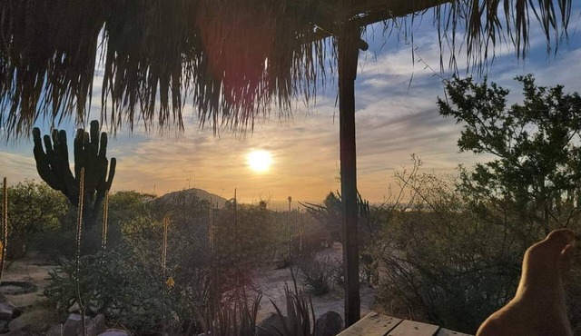 Nature House/bus Overlooking La Paz