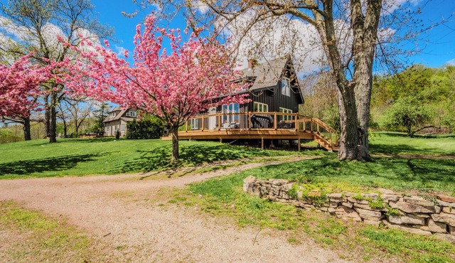 Nature Lovers' cottage on the escarpment with gorgeous views - 5 min to downtown