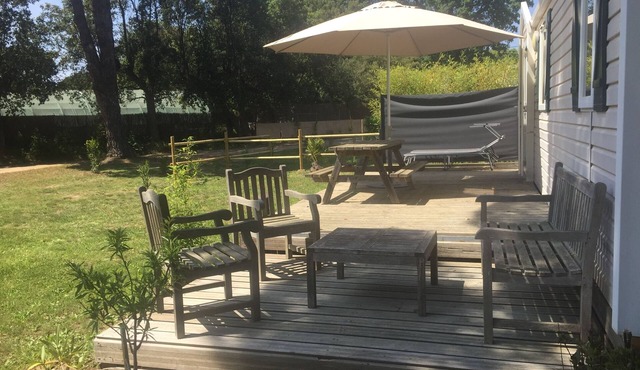 Nature lovers by the sea