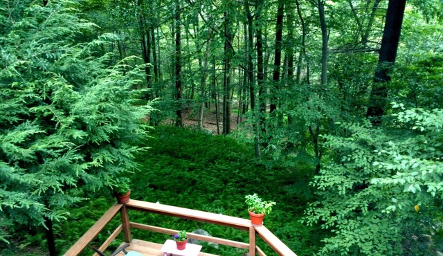 Nature Lovers' Sanctuary Yet Close to Amenities