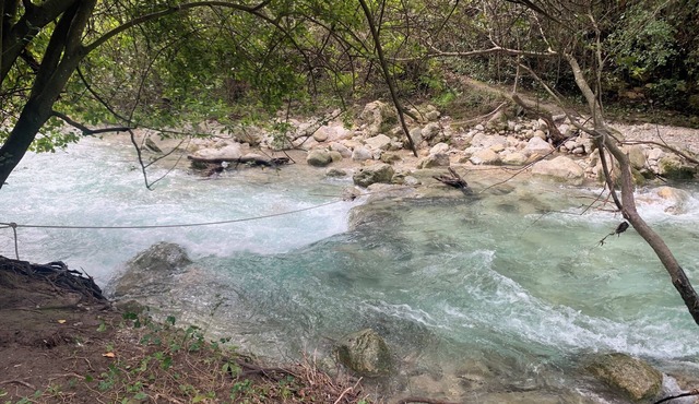 Nature lovers, the Terre d'Essènci, an oasis of biodiversity, welcomes you.