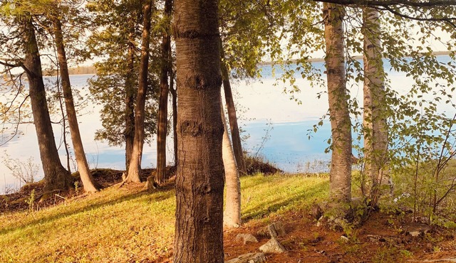 Nature Lovers - Waterfront - Lower Rideau Lake - Pet-Friendly!