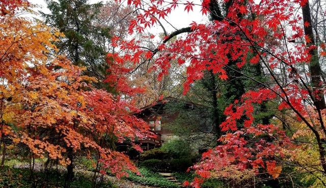 NATURE LOVERS WOODLAND RETREAT - TOWSON MD