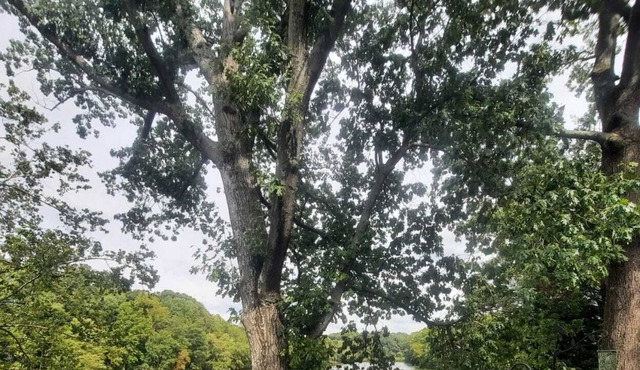 Nature Oasis with Lake Views - Centrally Located 2-Bedroom Townhouse on a Lake