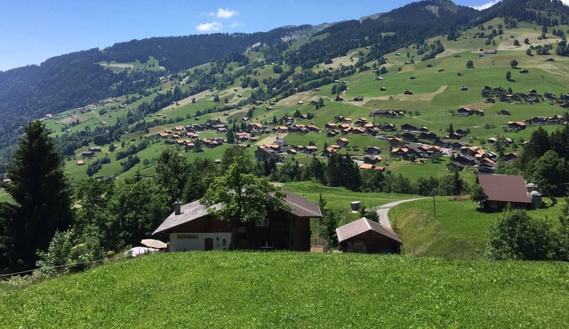 Nature pure! Hike,Bike,Ski relax.Apartment in Chalet in quiet mountain village.