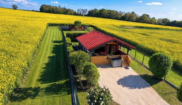 Nature & relaxation chalet near the Loire Castles