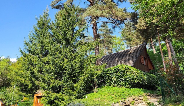 Nature & Relaxation in a Chalet a stone's throw from the Lake Bort-les-Orgues